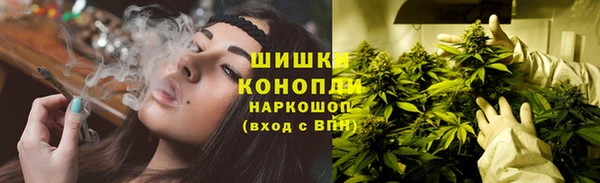 ПСИЛОЦИБИНОВЫЕ ГРИБЫ Бронницы