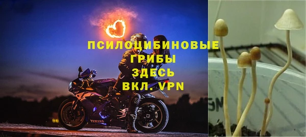 амф Бородино