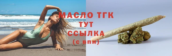 амф Бородино