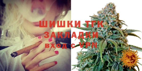 амф Бородино