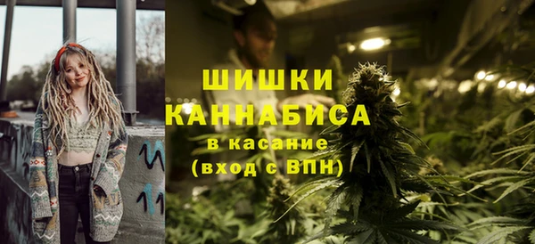 дмт Богородск